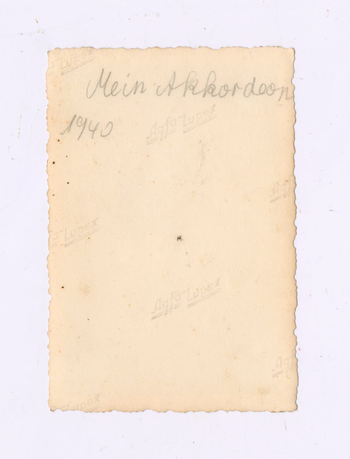 akkordeon_2_r_22